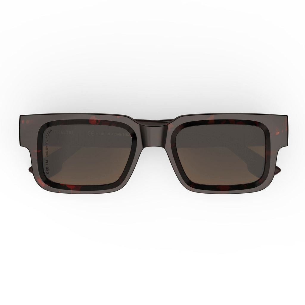 buenos-aires-sunglasses-carey-habano-top-002050A35905402