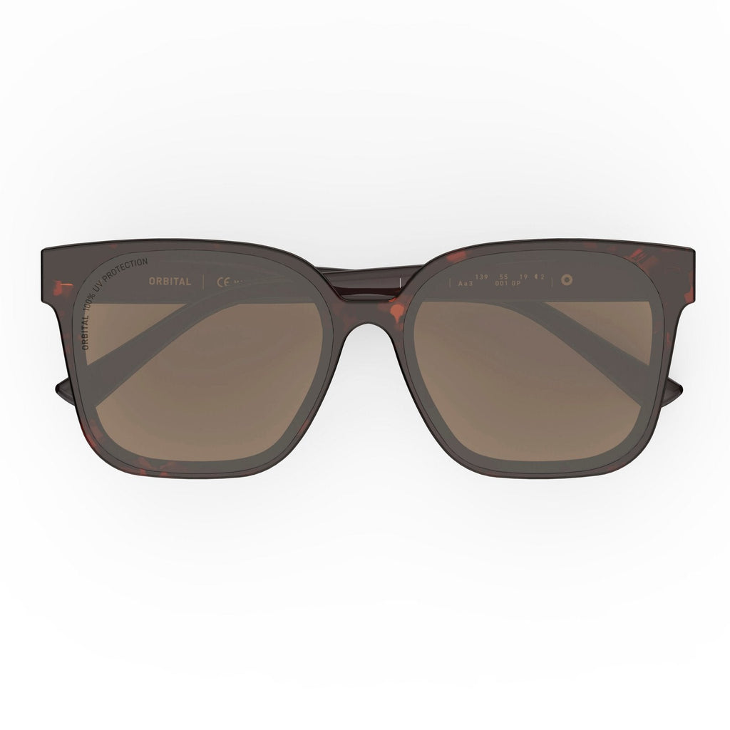 creta-sunglasses-carey-habano-top-000050A28905402